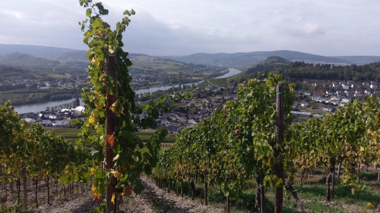 Weingut & Gastehaus Schumann Daire Lieser Dış mekan fotoğraf